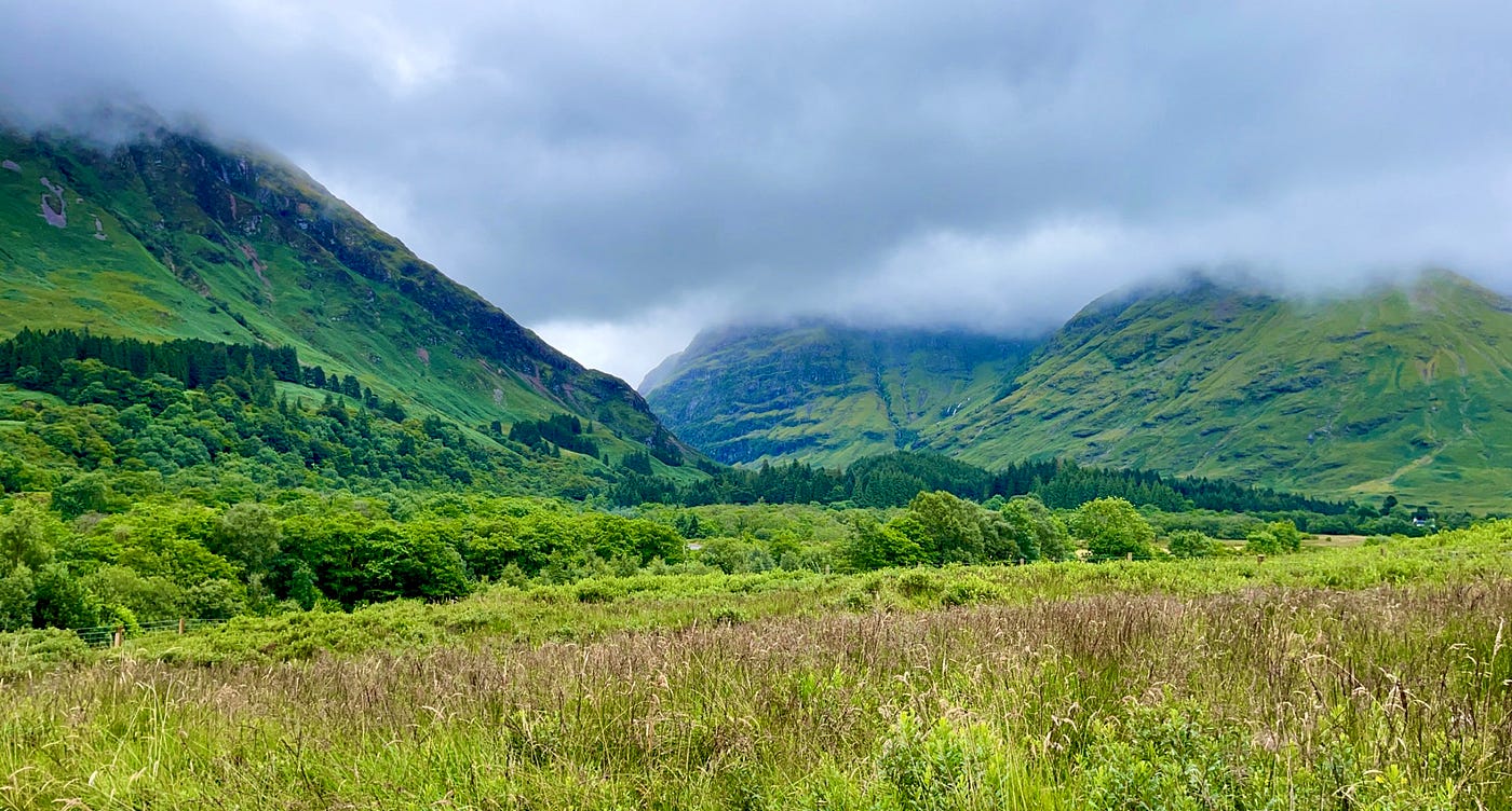Conservation estate on misty lakeside